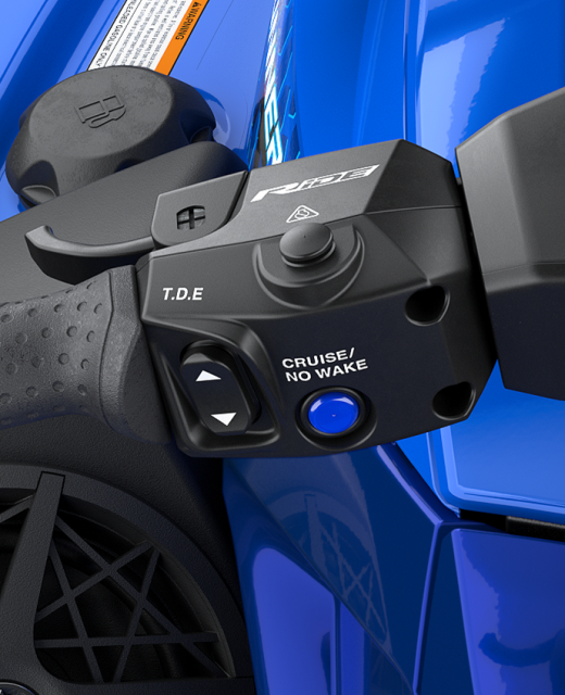 VX Limited HO Feature E.png